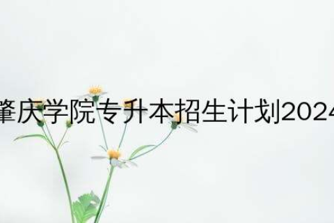 肇庆学院专升本招生计划2024