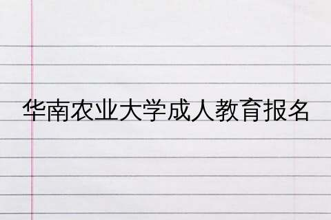 报名条件及流程