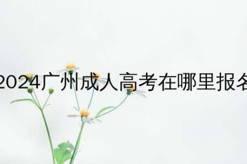 2024广州成人高考在哪里报名