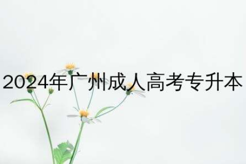 2024年广州成人高考专升本