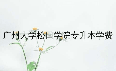 广州大学松田学院专升本学费