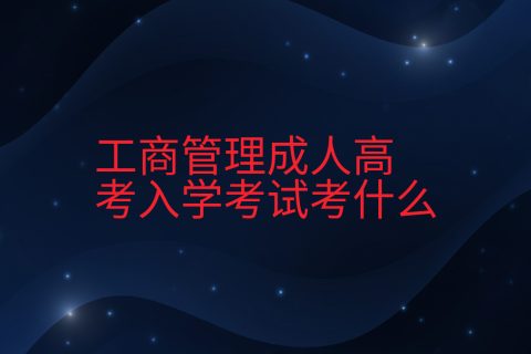 工商管理成人高考入学考试考什么